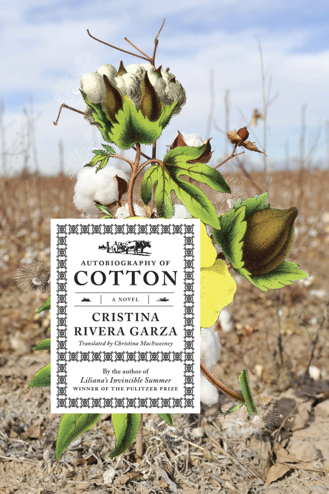AUTOBIOGRAPHY OF COTTON 9781644453698