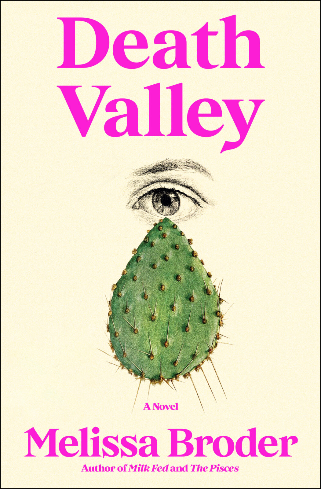 Death Valley cover - Eliana Cohen-Orth