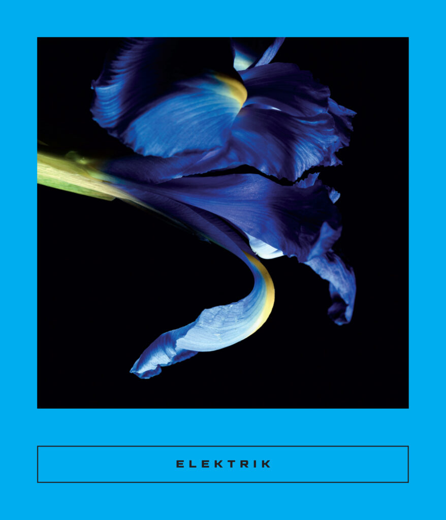Elektrik front cover - Eliana Cohen-Orth