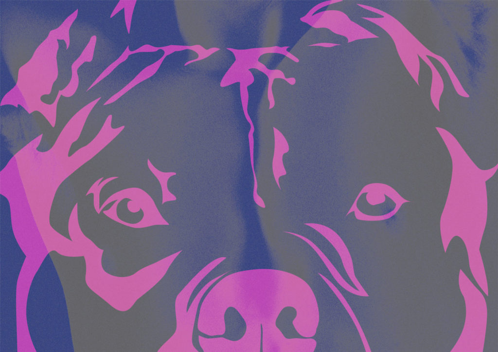 Later-Book-Cover---Carla-Cain-Walther