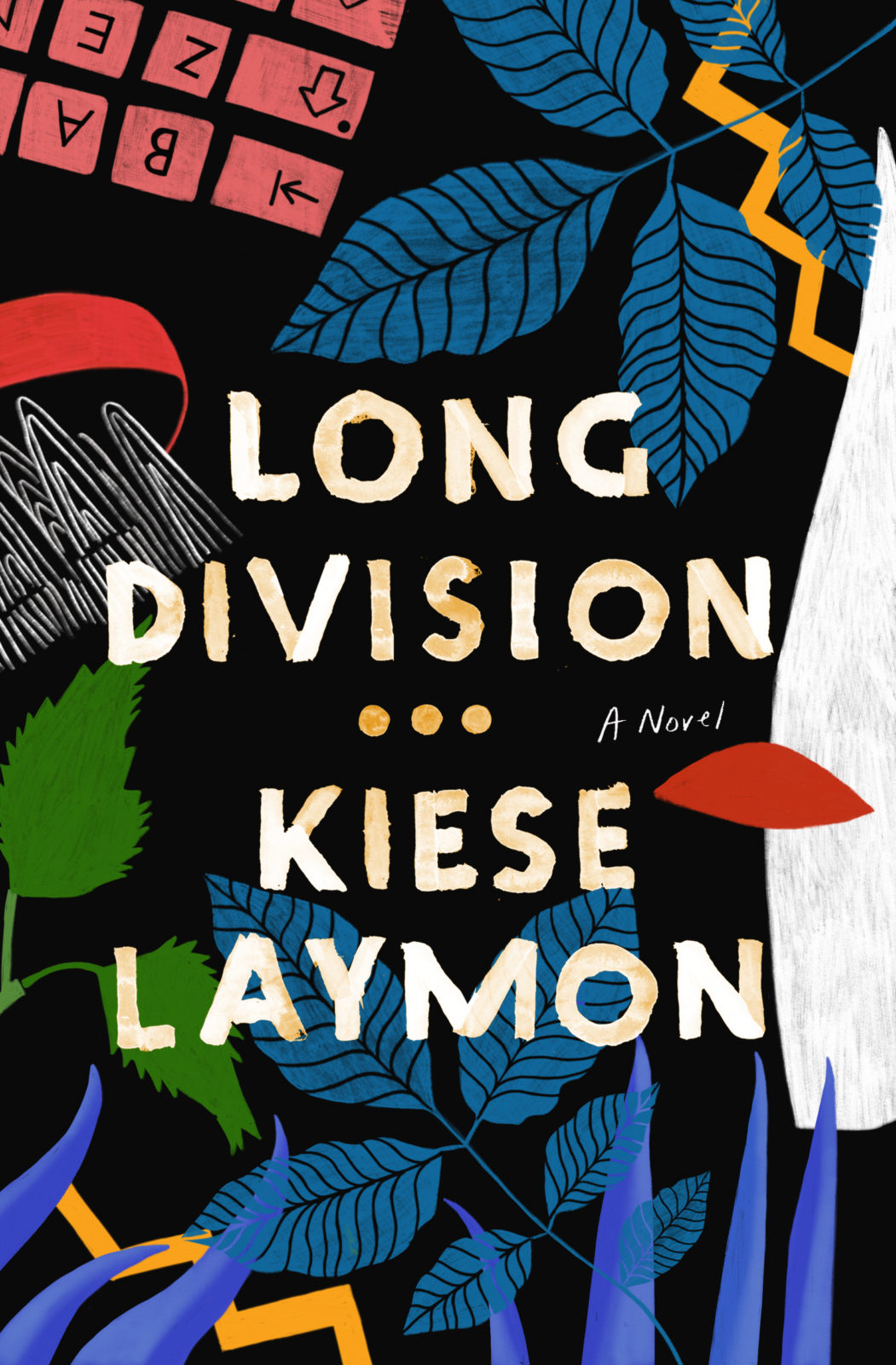 Long Division - Cover Art - Zach Cihlar
