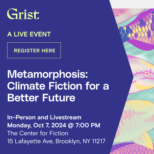 Metamorphosis ADS 300x300 (1) (1)