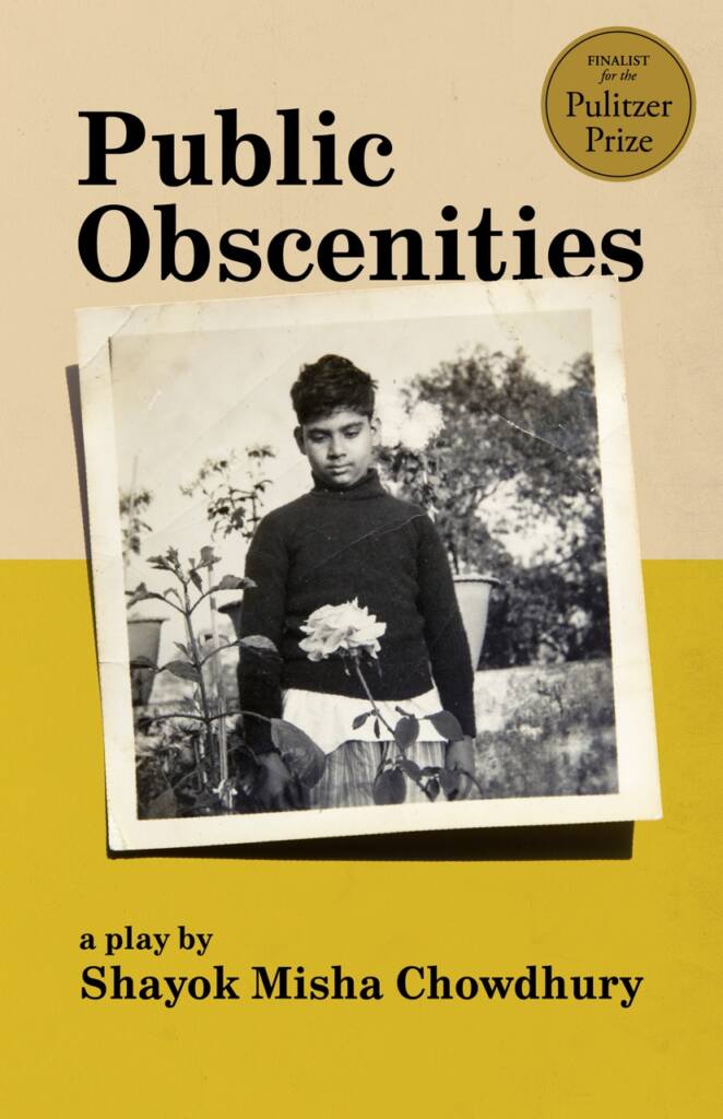 PublicObscenities_BookCover_FINAL