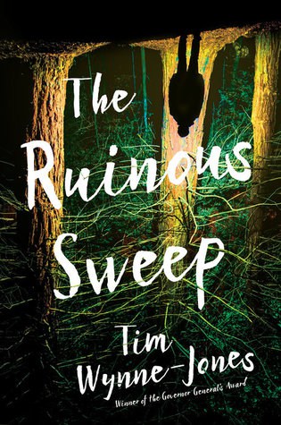 The Ruinous Sweep Tim Wynne Jones