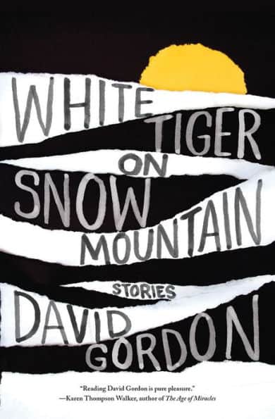 White Tiger on Snow Mountain