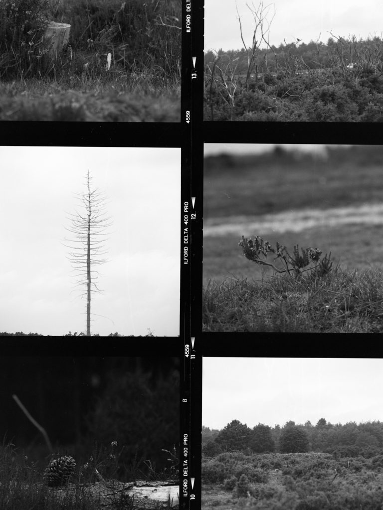 annie-spratt-oHD7UbfFY4o-unsplash