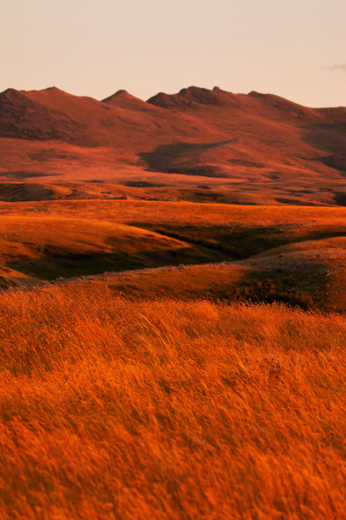 brad-mann-0ceqs8Yjq98-unsplash