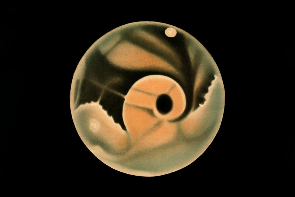 featured-images.in-short20250506