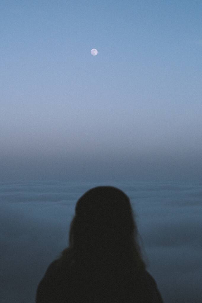 foad-roshan-jPMy8QiGv3o-unsplash Large