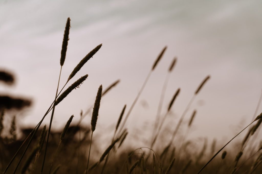 gabriella-clare-marino-pItFfaR8Av8-unsplash