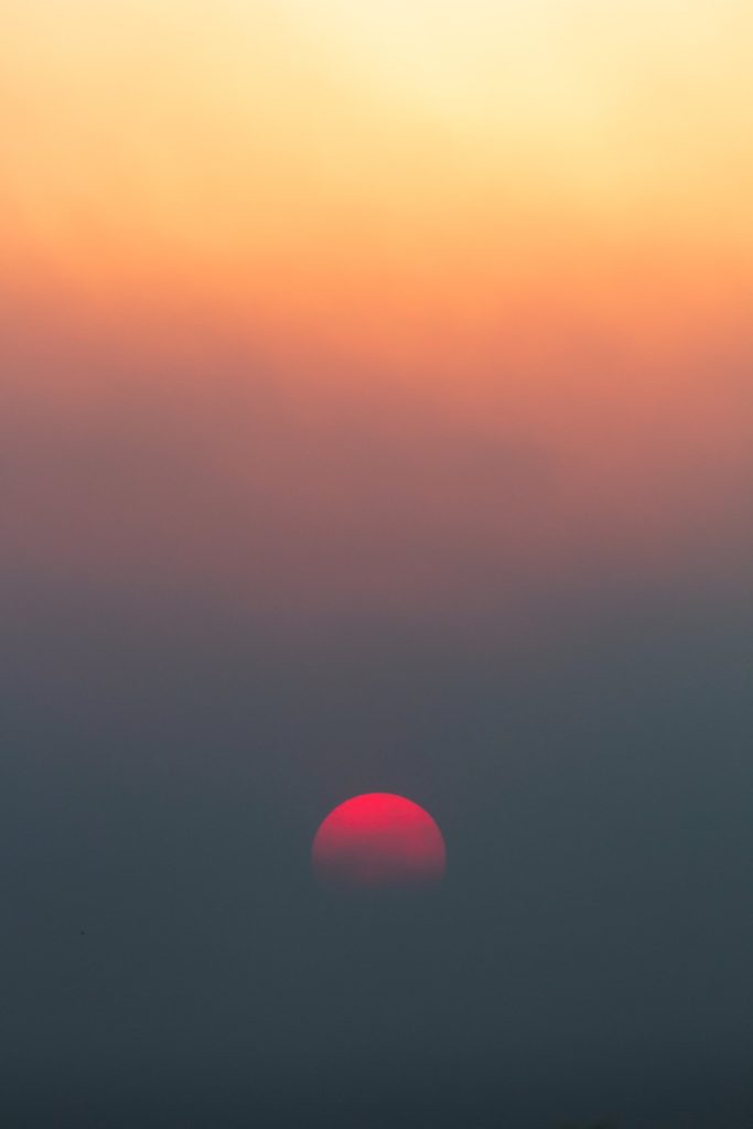 joao-barbosa-G0EOSG4ScWM-unsplash