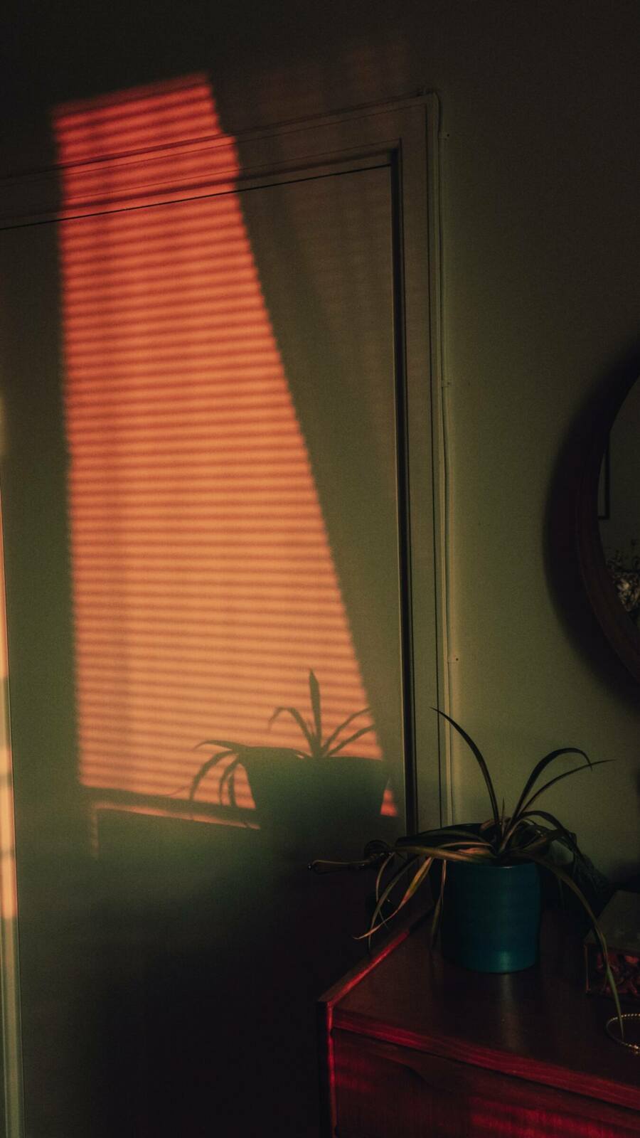 karl-hedin-HC7KYD85P-U-unsplash