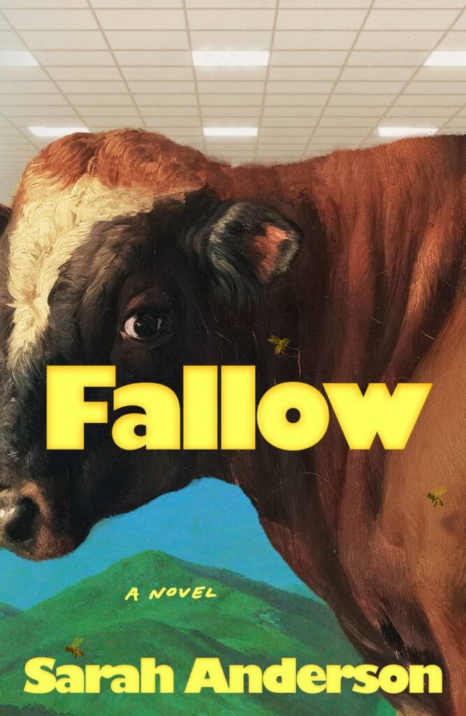 Fallow Sarah Anderson Farrar, Straus and Giroux