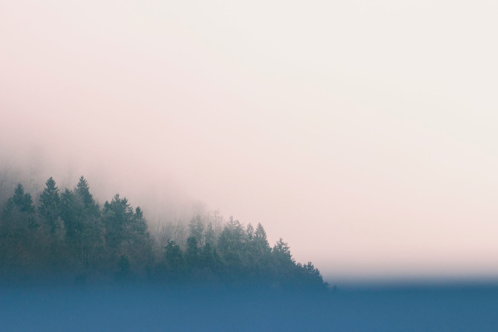 Fog