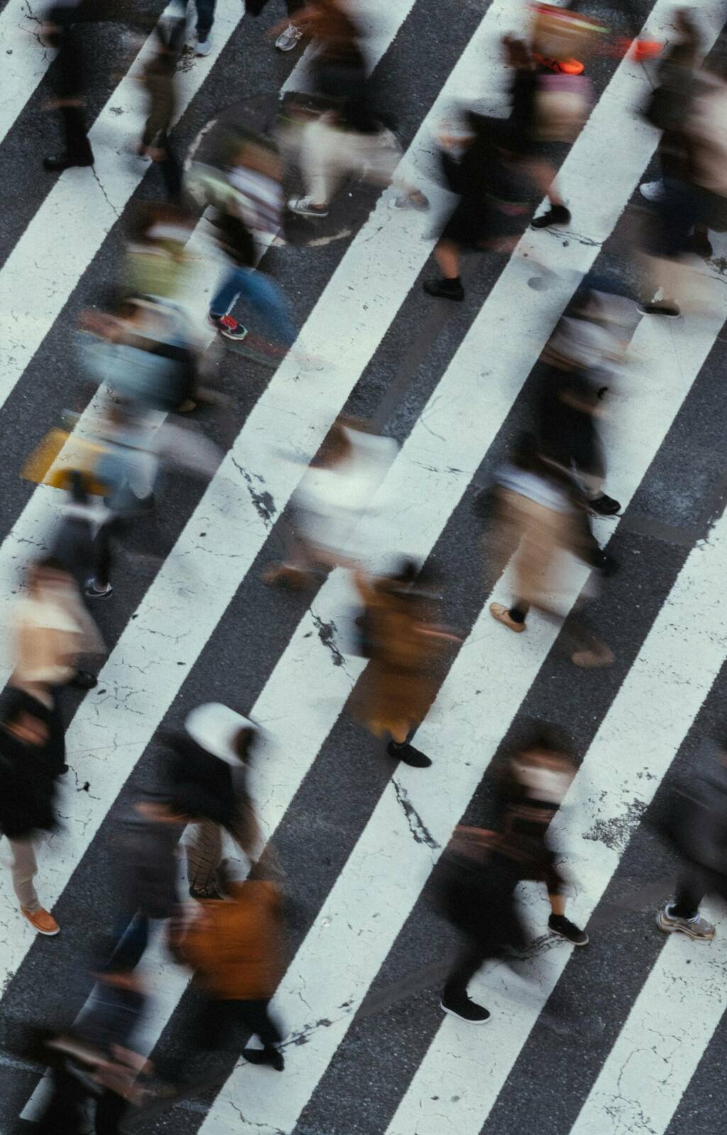 samuel-scrimshaw-zOQu3s6Nfqs-unsplash-2